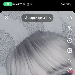 , 33, 