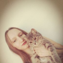 ���������, �����������, 25 ���