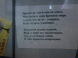 �����������