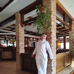 ���� �������, �����-���������, 49 ��� - ��������� 7 ������ 2026