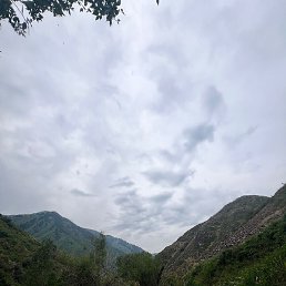 ������, �����-���������, 64 ����