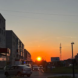 , 41, 
