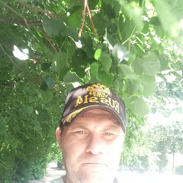 �����, 39 ���, ������