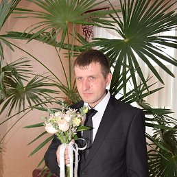 , 37 , 