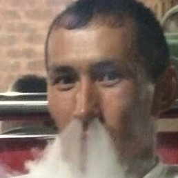 �����, ���, 41 ���