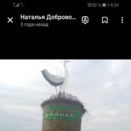 , 50, 
