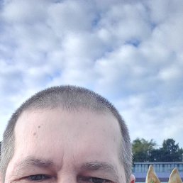 , 49, 