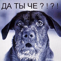 Michel, �������, 68 ���