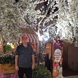 ������, ������, 53 ����