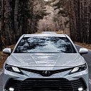 ���� ������, ��������, 51 ��� - ��������� 7 ������ 2024 � ������ ���� ����������