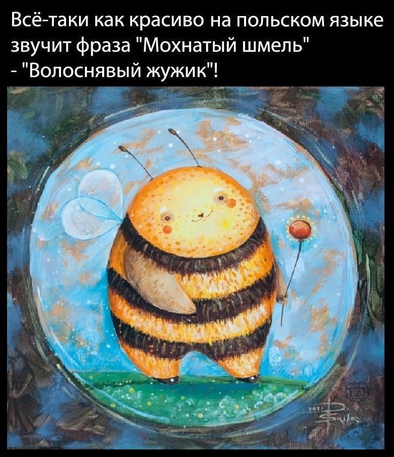  - 7  2025  13:06