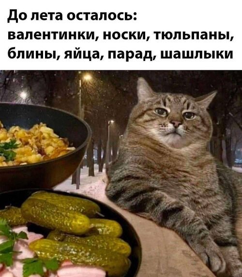 �� ����� ������! - 25 ������ 2026 � 23:15