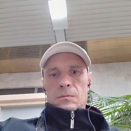 ���� ����, ������������, 42 ���� - ��������� 29 ������ 2025