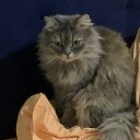 ���� ��������, ������, 57 ��� - ��������� 16 ������ 2025 � ������ ������ ��������