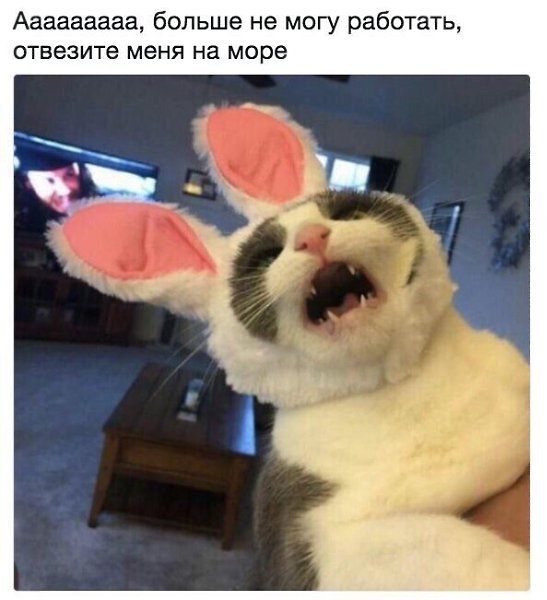 ☆������ �����☆ - 25 ��� 2024 � 18:31