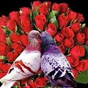 ���� Mohammed, ���� - ��������� 27 ����� 2026 � ������ ������ ��������