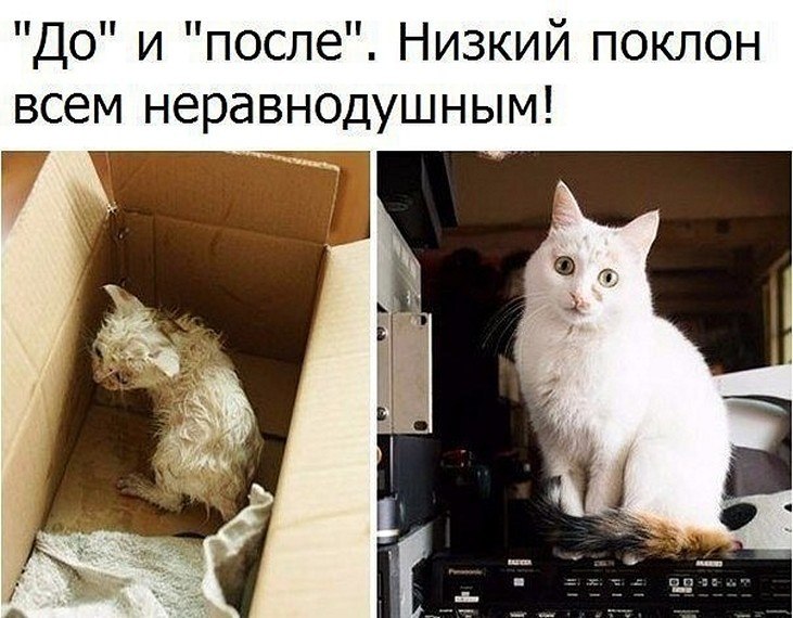? ,  ! - 12  2025  00:47