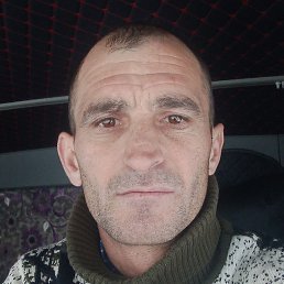 ���������, �����������, 40 ���