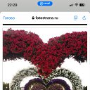 ���� ����� ���, ������, 60 ��� - ��������� 11 ���� 2025 � ������ ���� ����������