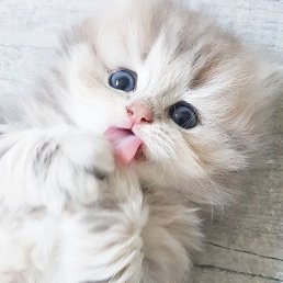 ���� ���, ������ - ��������� 20 ������ 2025