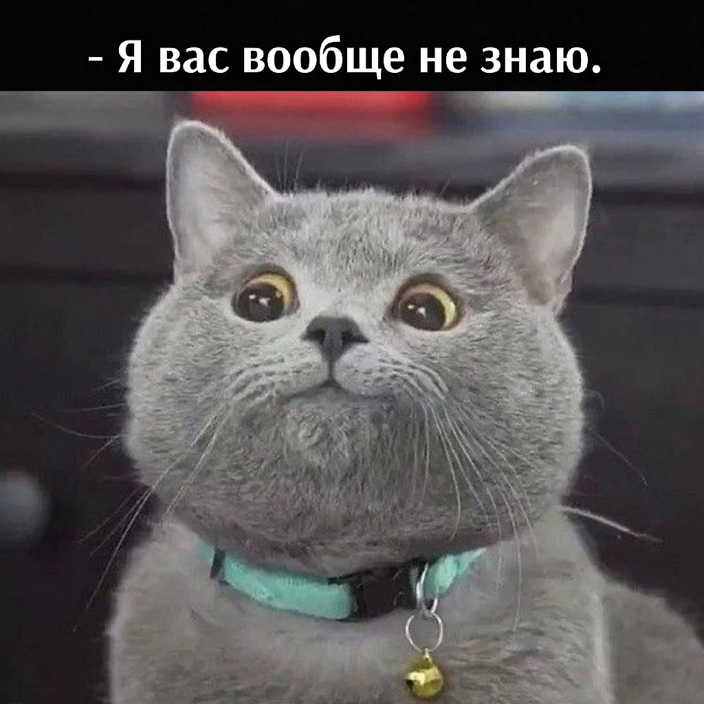       - 13  2025  21:46 - 2