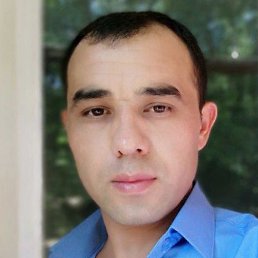 ���, ������, 41 ���