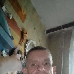 , 53, 