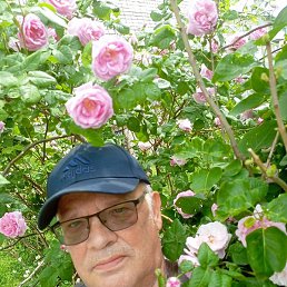 ��������, ������ ��������, 77 ���