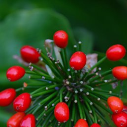 ���� ������, ������, 46 ��� - ��������� 3 ����� 2024