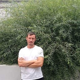 �����, 42 ����, ��������