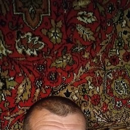 , 47 , 
