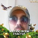 ���� ������, ������, 49 ��� - ��������� 29 ������ 2024 � ������ ���� ����������