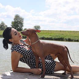 ���� ����, ��������, 44 ���� - ��������� 8 ������ 2026