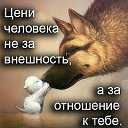   ,  , 62  -  22  2025    