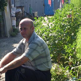 ���� ������, ������, 50 ��� - ��������� 5 ������� 2026