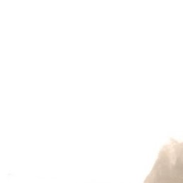 ����, ��������, 20 ���