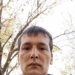 , 37, 