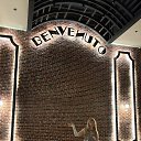 ���� �����, �����-���������, 51 ��� - ��������� 8 ��� 2026 � ������ ������� ����� ������ �������� ������������