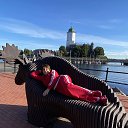 ���� ����, ���������, 54 ���� - ��������� 16 �������� 2026 � ������ ���� ����������