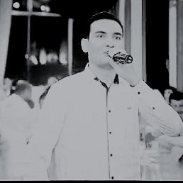 , 33, 