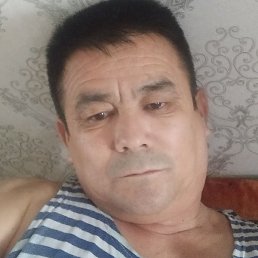 �����, ��������, 49 ���