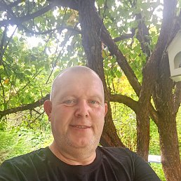 , 47 ,  