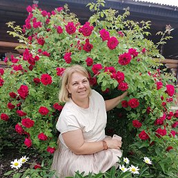 ���� ������, ������, 55 ��� - ��������� 18 ���� 2025