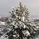 ���� �����, ������, 64 ���� - ��������� 10 ������ 2026 � ������ ������� ��������� ����