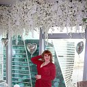 ���� �������� ����, ������, 38 ��� - ��������� 7 ������ 2026 � ������ ���� ����������