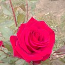 ���� ��������, ������, 59 ��� - ��������� 14 ������� 2024 � ������ ������ ��������