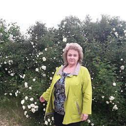 ���� �������� ���������, ������, 60 ��� - ��������� 30 ��� 2024