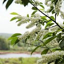 ���� �������, ������ - ��������� 28 ������ 2025 � ������ ������ ��������