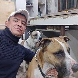 Galin, �������������, 35 ���