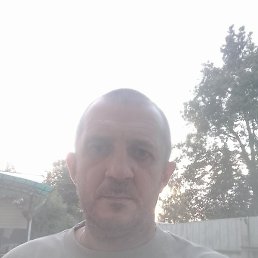 ������ ��������, �������, 47 ���